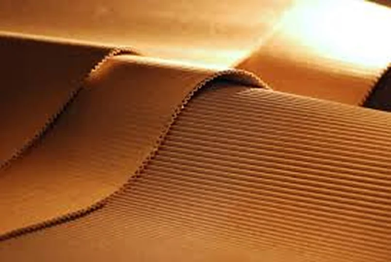 ABPO: vendas de papelão ondulado avançaram em janeiro, mas indicadores ainda apontam para queda da produção industrial no período