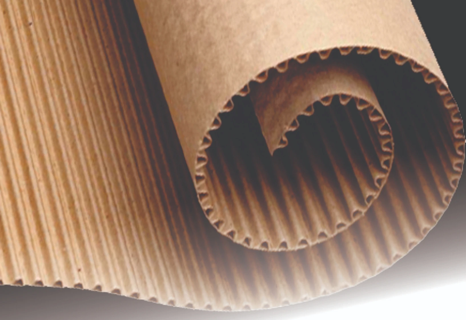 ABPO: vendas de papelão ondulado recuaram pelo quarto mês consecutivo em novembro