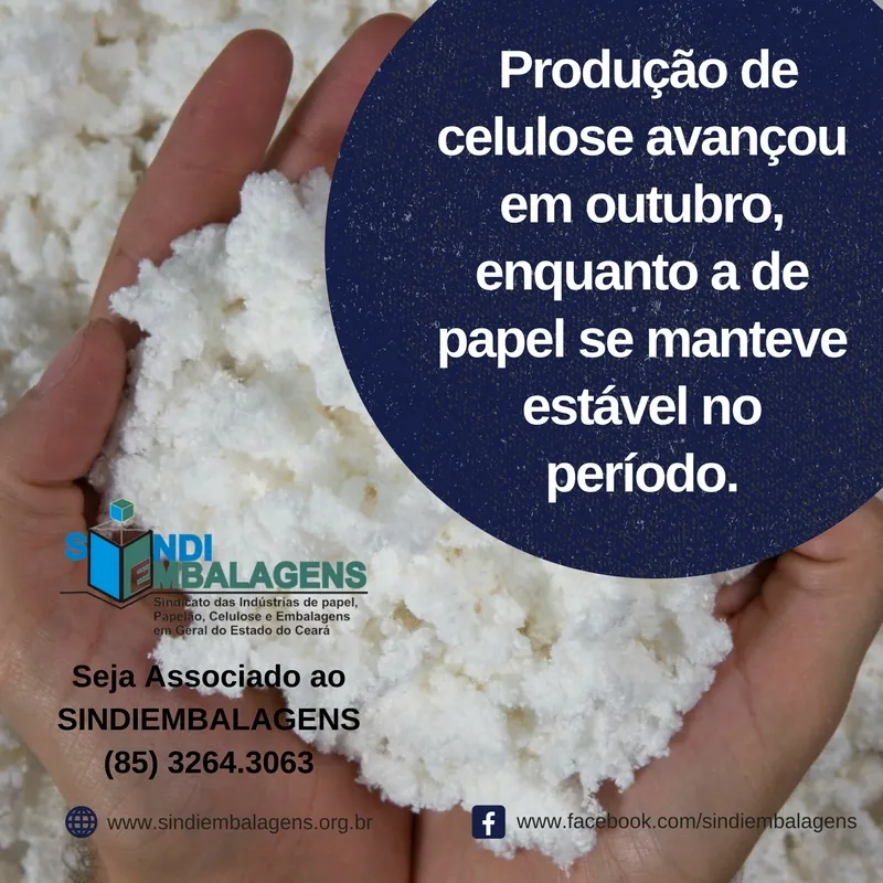 Produção de celulose avançou em outubro, enquanto a de papel se manteve estável no período
