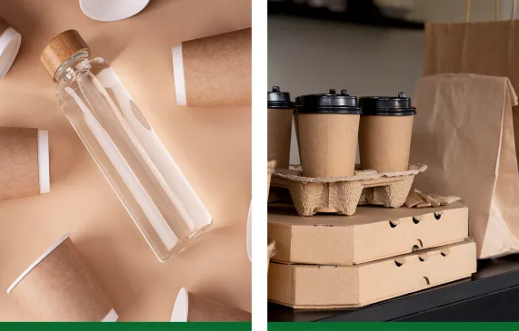 Segmentos Representados