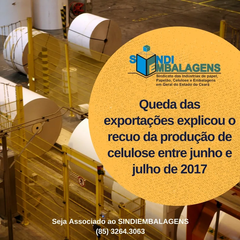 Queda das exportações explicou o recuo da produção de celulose entre junho e julho