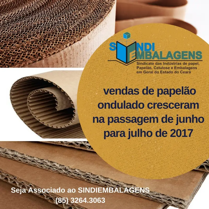 As vendas de papelão ondulado somaram 288.258 toneladas em julho