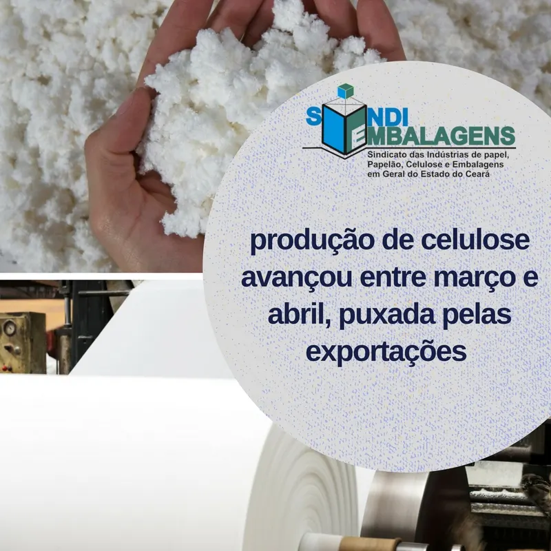 Produção de celulose avançou entre março e abril de 2017, puxada pelas exportações