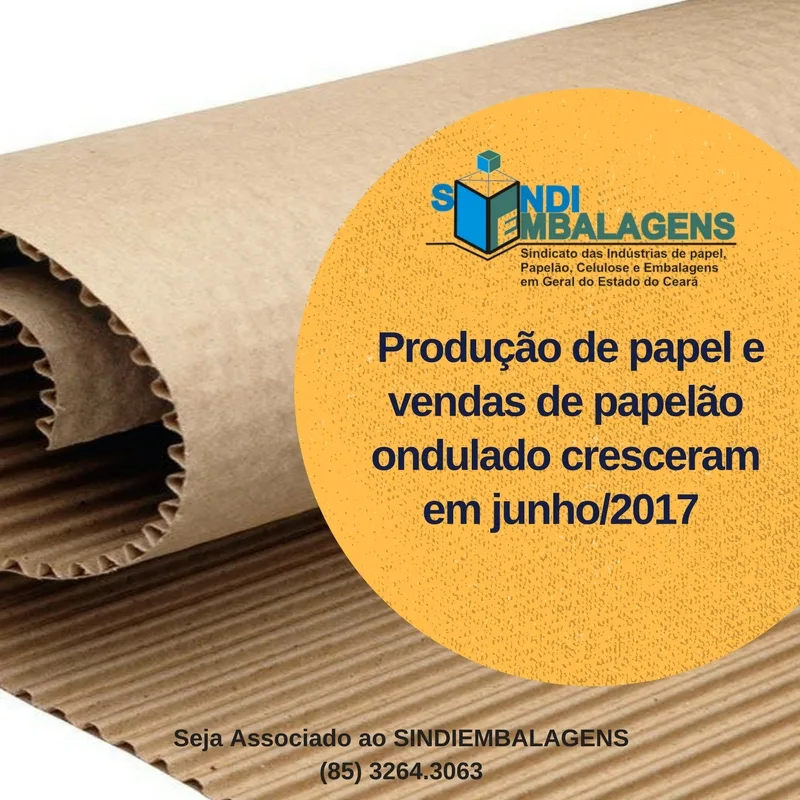A produção da indústria de papel cresceu 0,7% e a de celulose caiu 0,4% em junho na comparação mensal